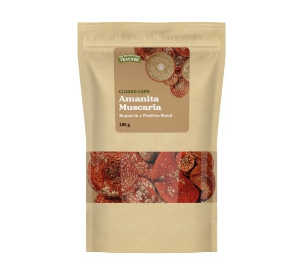 Fliegenpilz, rote geschlossene Kappen, ganz 100g