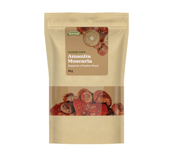 Fliegenpilz, rote geschlossene Kappen, ganz 50g